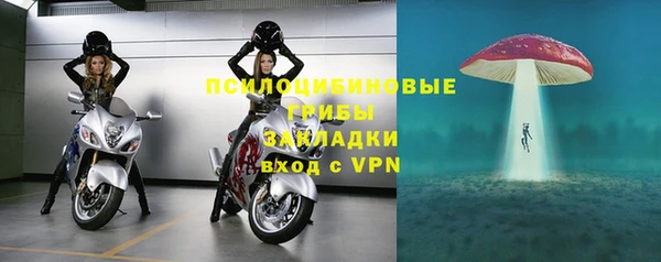 прущий лед Инта