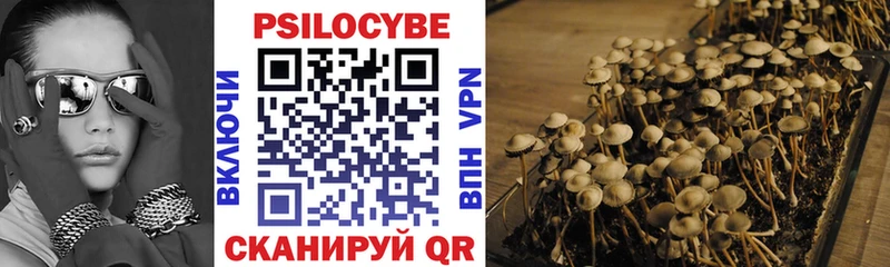 Купить где  Ростов-на-Дону  Галлюциногенные грибы ЛСД 